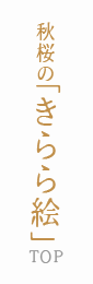 秋桜の「きらら絵」